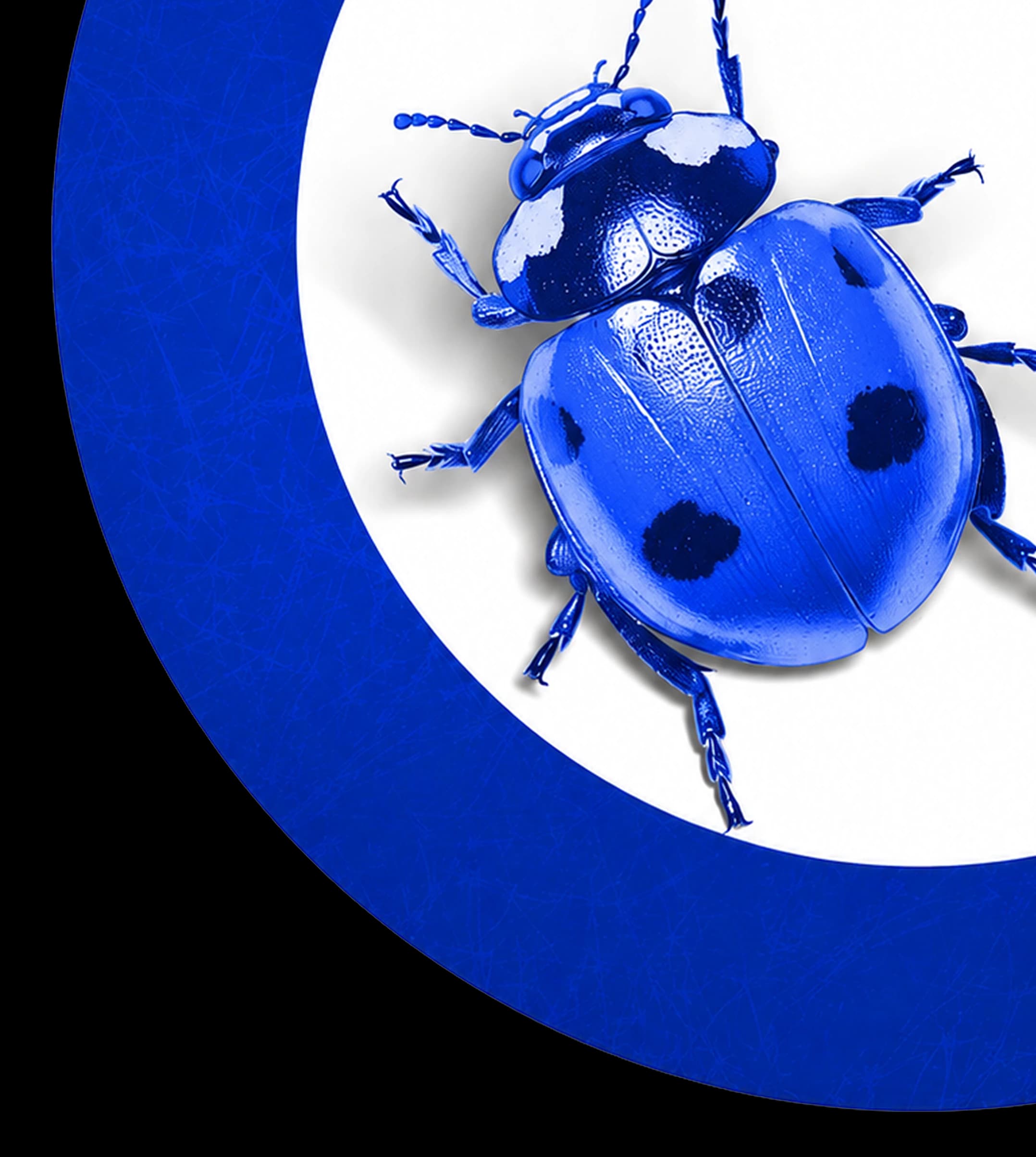 QA & Testing - Quality Built Into Every Digital Solution